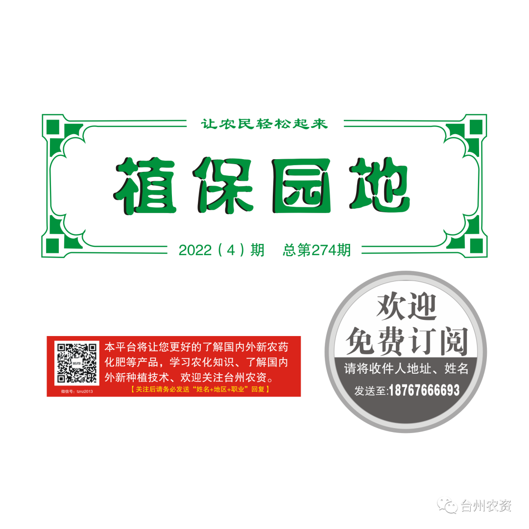 氣溫驟降，大棚西瓜做好以下幾點工作