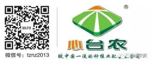 果實接近成熟，警惕柑橘表面各種油胞病